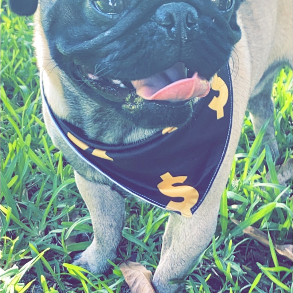 Shmoney bandana